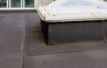 disadvantages of Dovecothall flat roofs