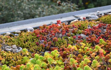 the cost of Dovecothall green roof installation