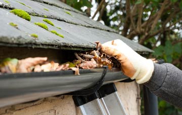 gutter cleaning Dovecothall, East Renfrewshire
