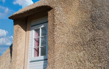 Dovecothall thatch roof disadvantages