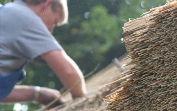 professional Dovecothall thatchers